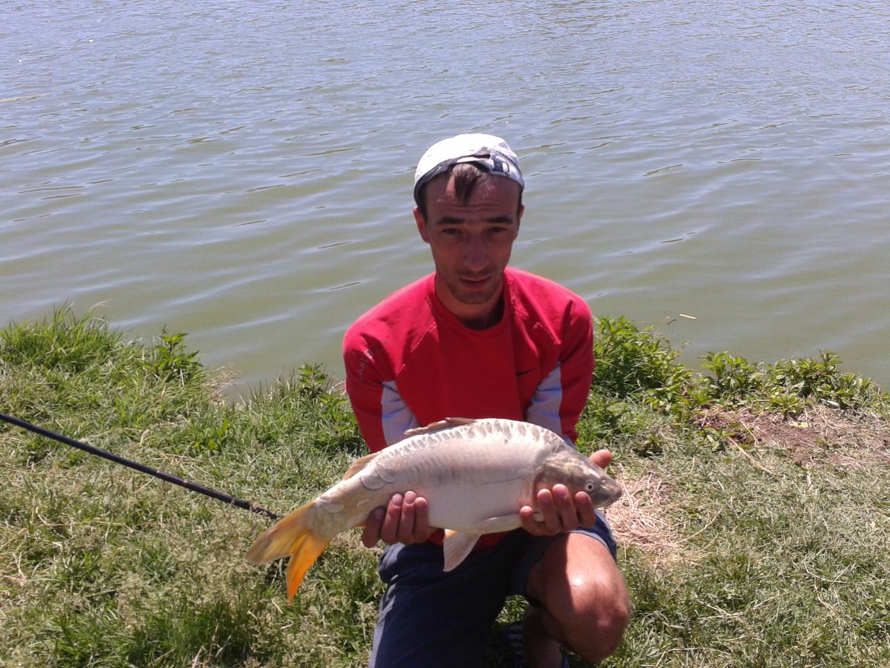 fish - fundulea... 3,500kg